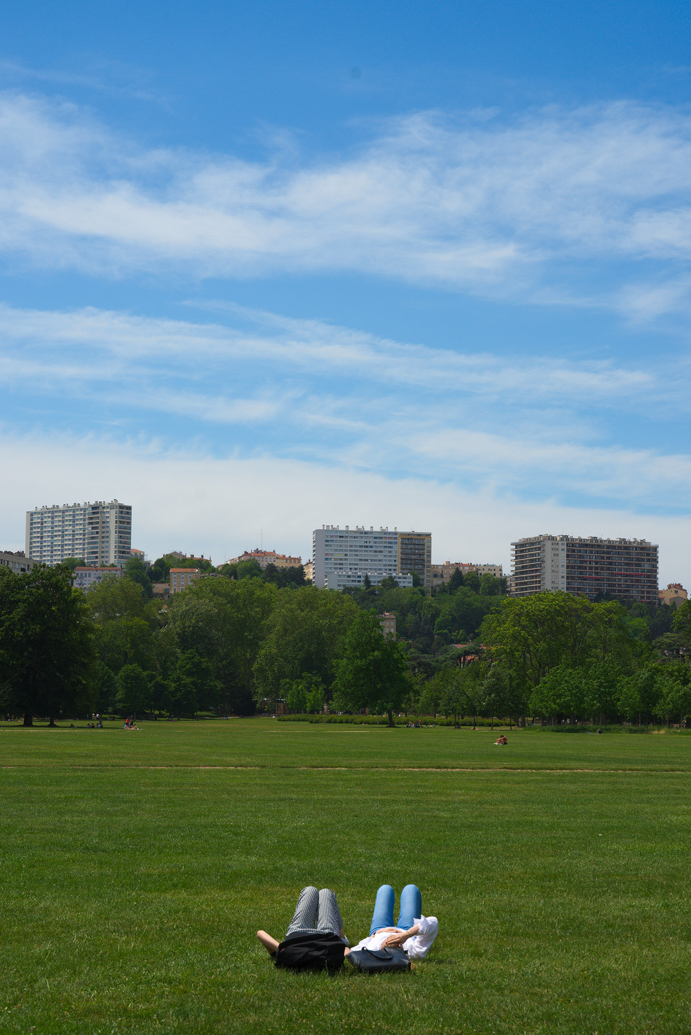 Tournées vers le ciel