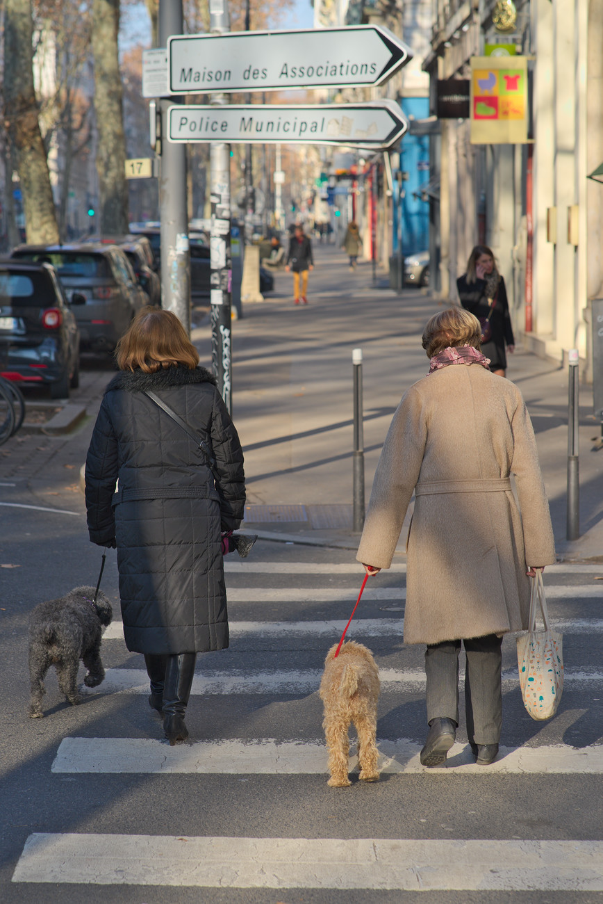 Noir et Beige