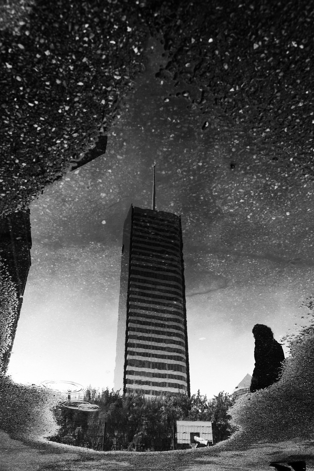 La Tête dans les Etoiles