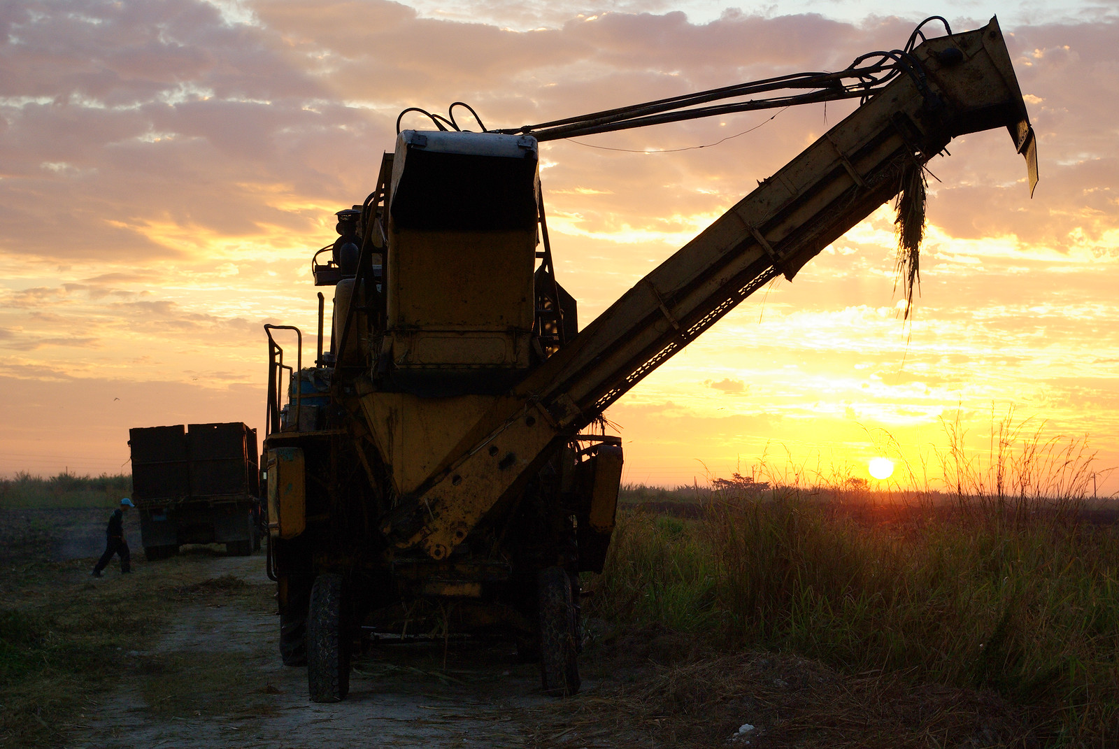 Machine a Ramasser la Cane à Sucre