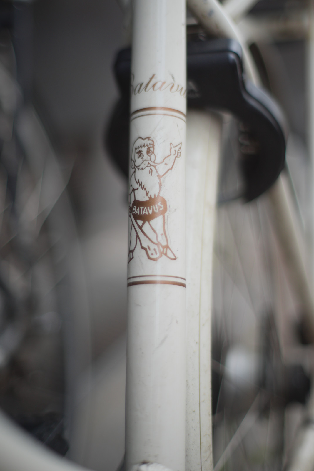 Batavus