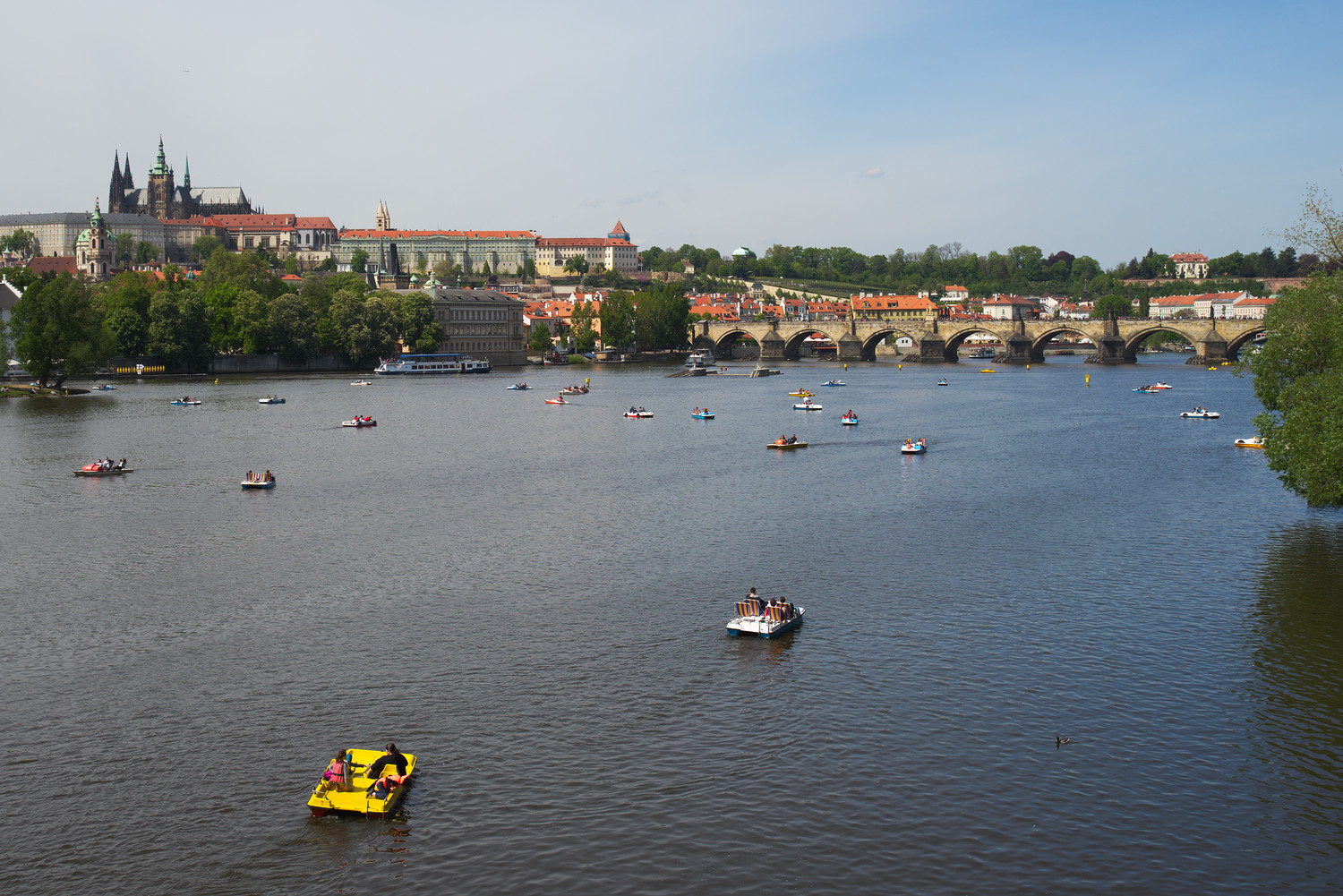 Les Pedalos