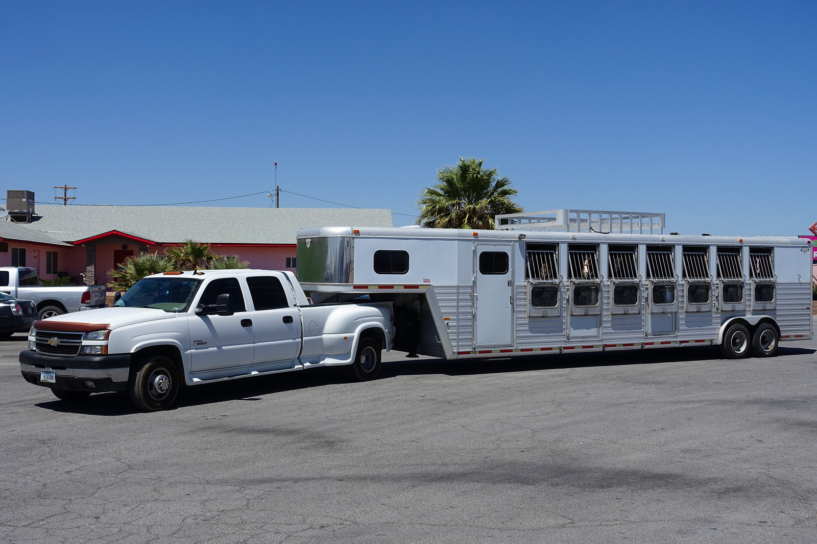 Caravane pour Chevaux