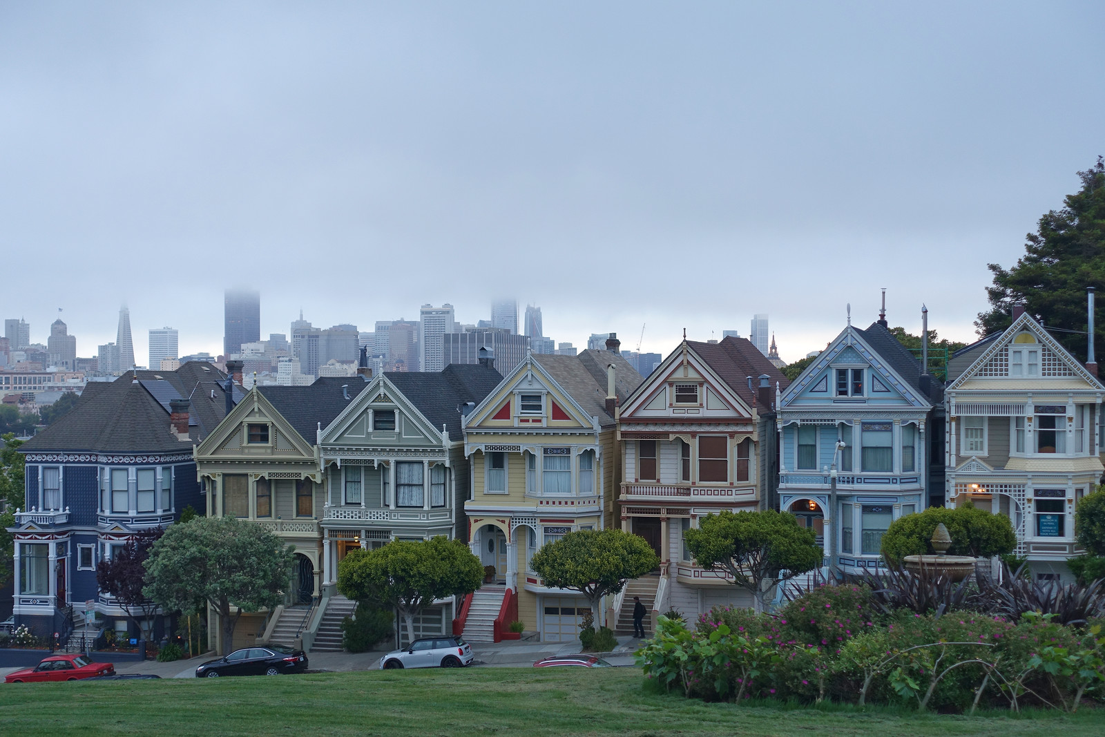 Painted Ladies