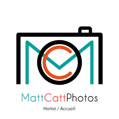 Matthieu Cattin